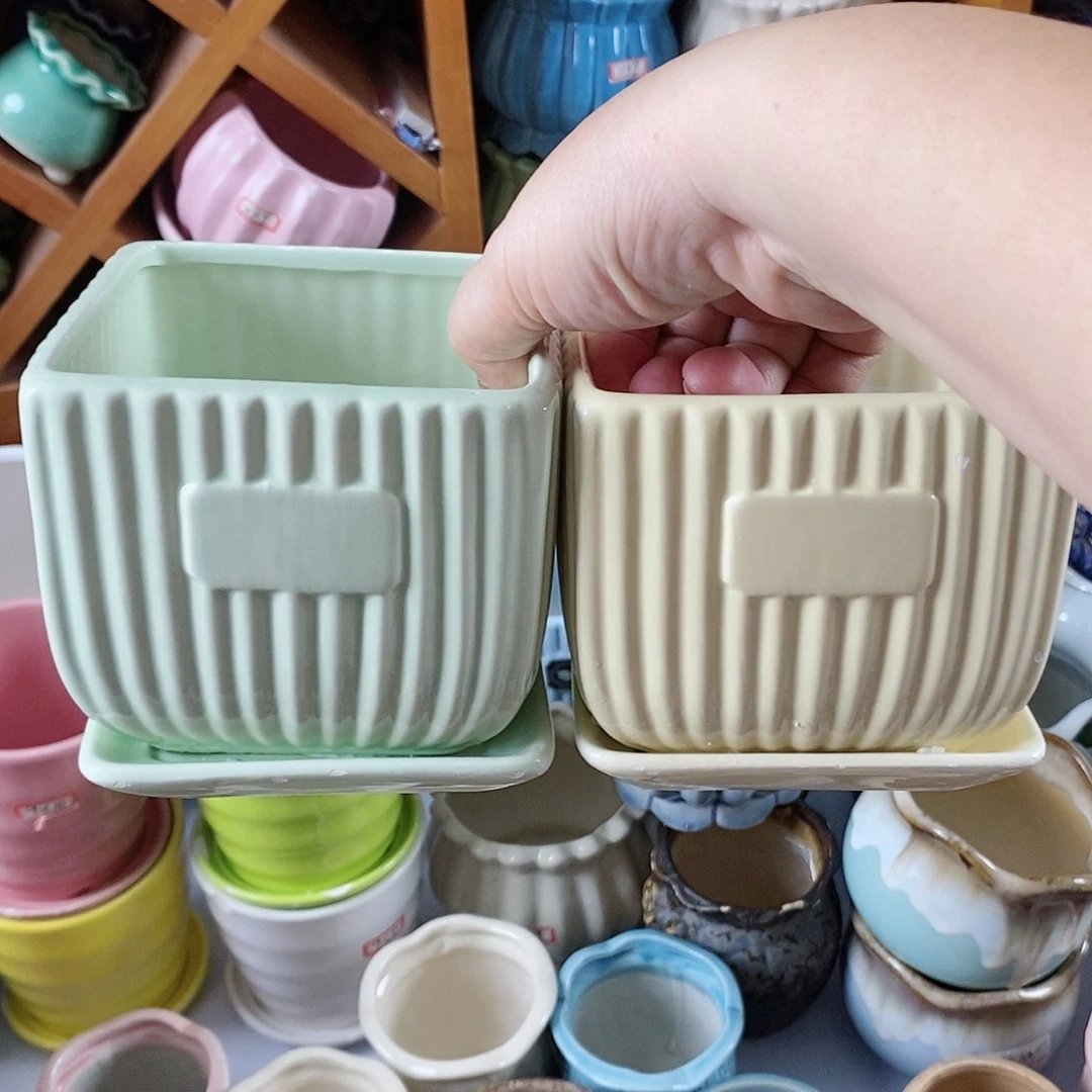 陶瓷20CM以下新号开播福利多多