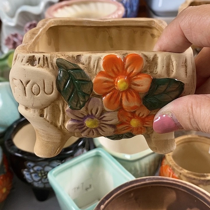 红陶20CM以下开播，福利多多。