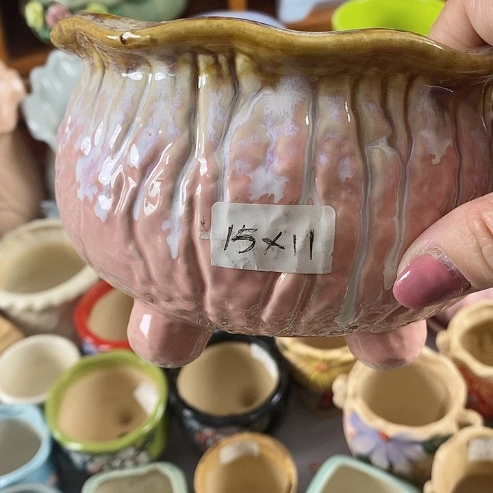 红陶20CM以下新号开播福利多多