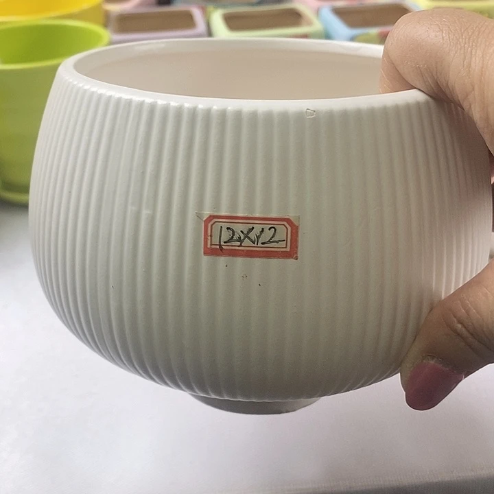 红陶20CM以下新号开播福利多多