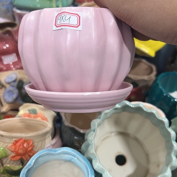 红陶20CM（含）-50CM（不含）