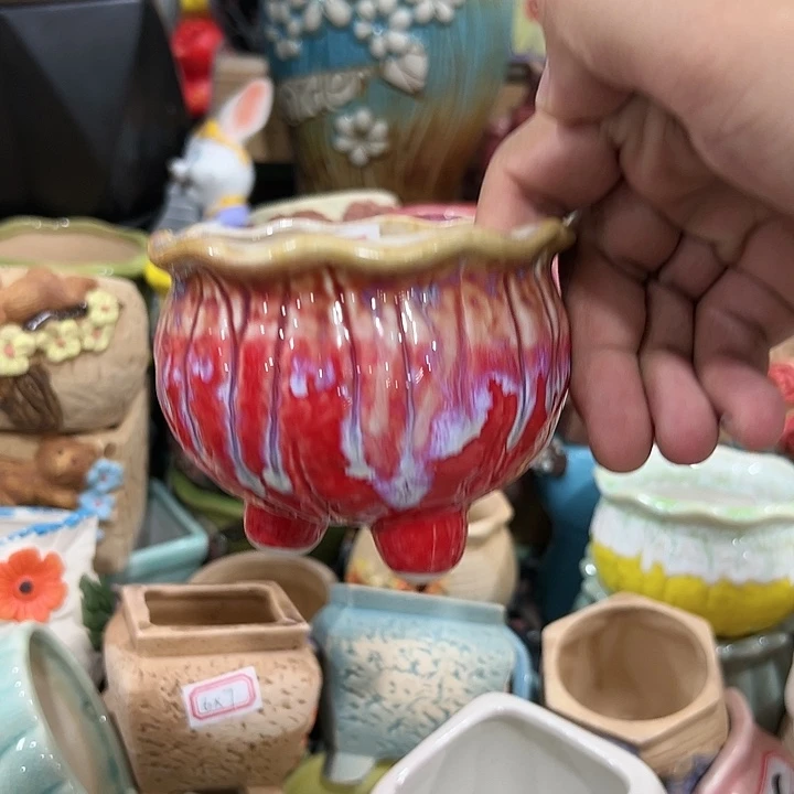 红陶20CM（含）-50CM（不含）