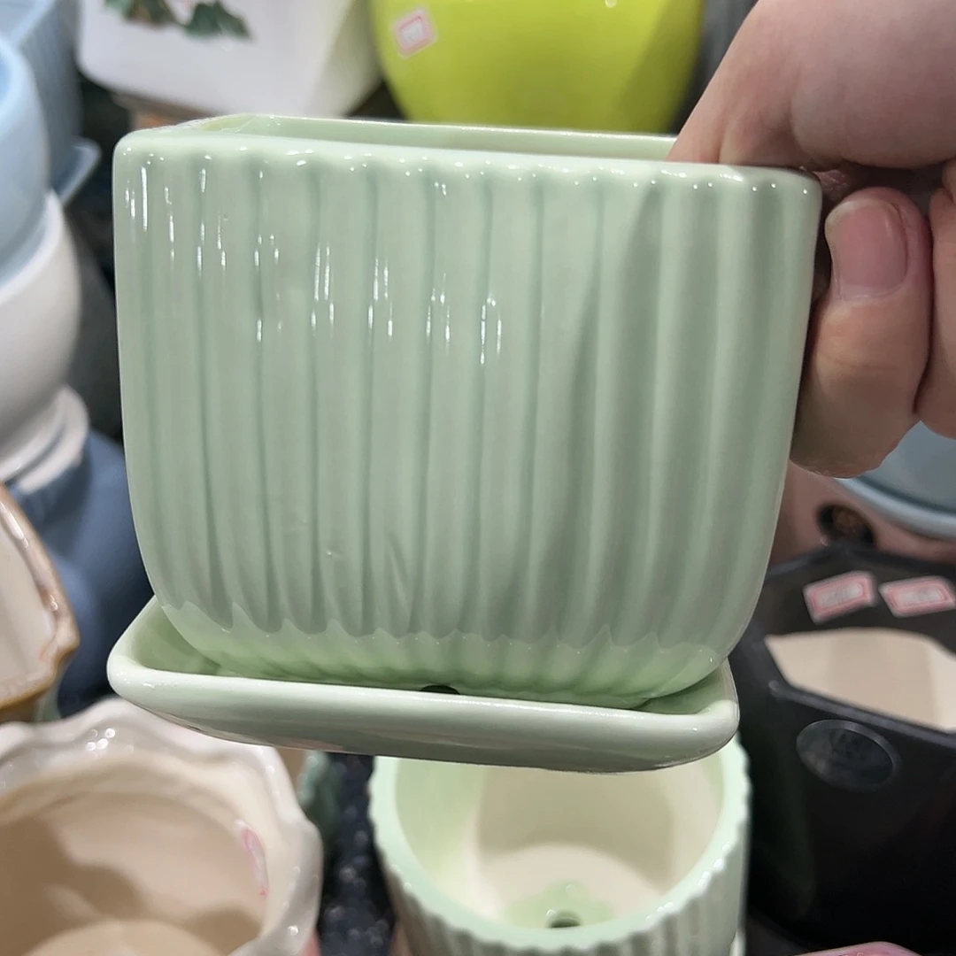 红陶20CM（含）-50CM（不含）