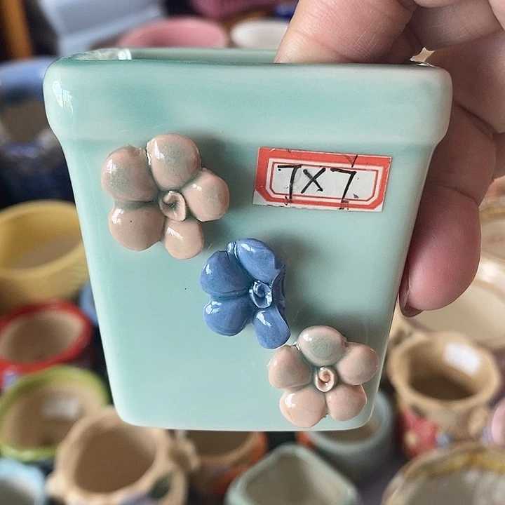 红陶20CM以下新号开播福利多多