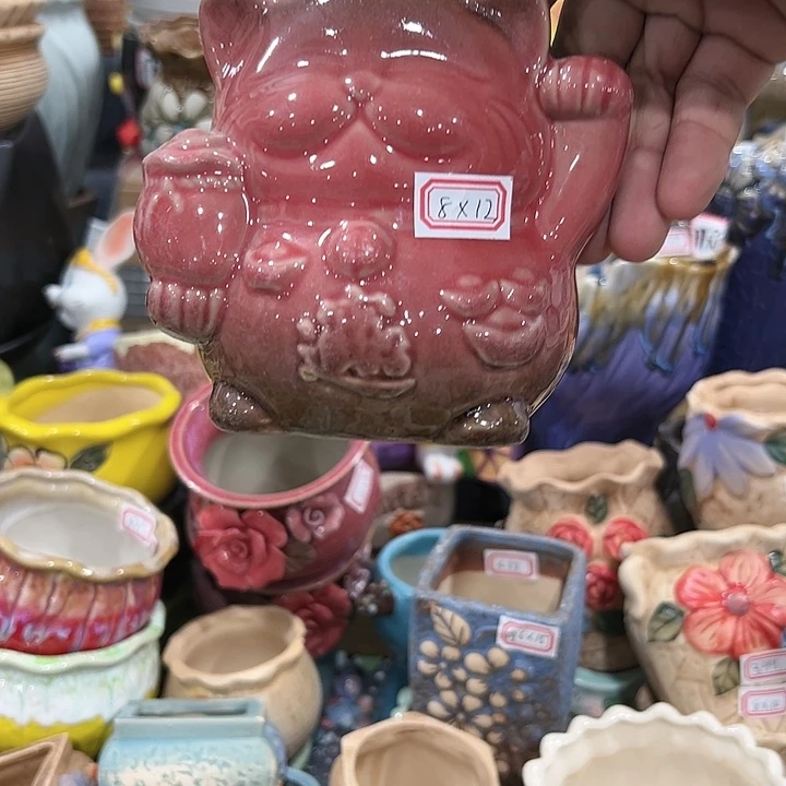 红陶20CM（含）-50CM（不含）