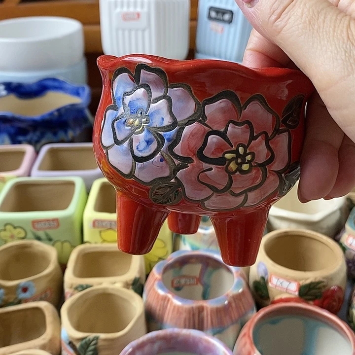 红陶20CM以下新号开播福利多多