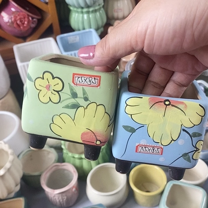 红陶20CM以下信号开播福利多多