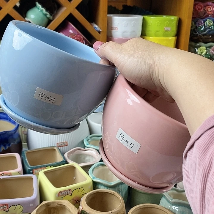 红陶20CM以下新号开播福利多多