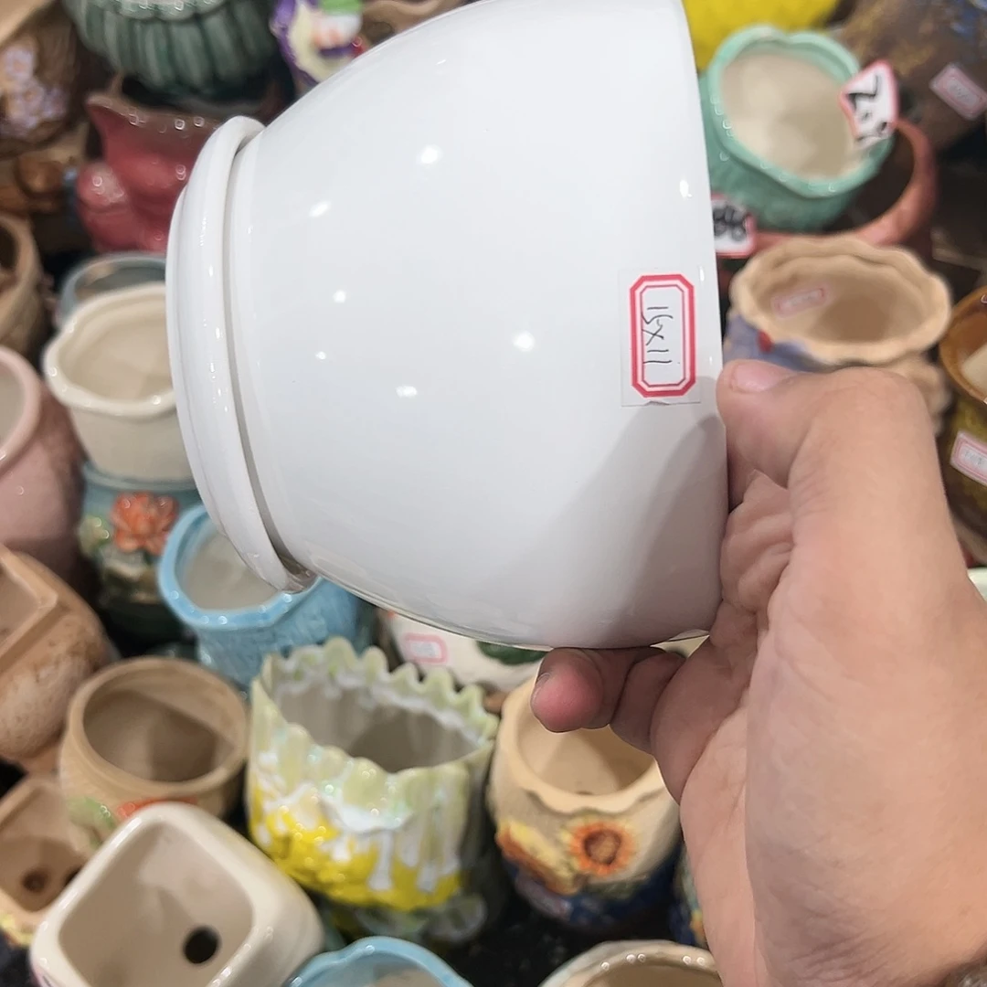 红陶20CM（含）-50CM（不含）