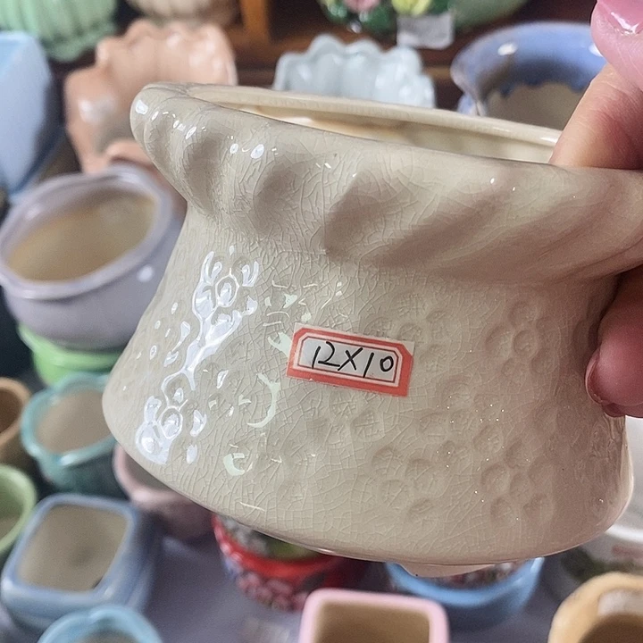 红陶20CM以下信号开播福利多多