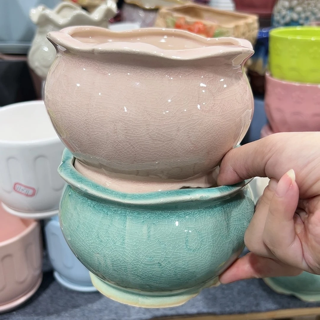 红陶20CM（含）-50CM（不含）