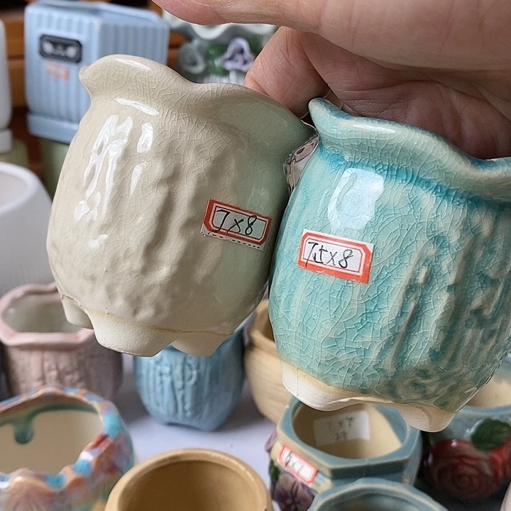 红陶20CM以下新号开播福利多多