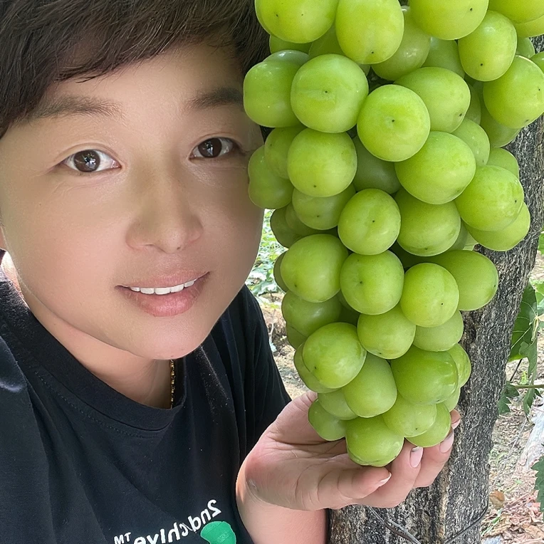 葡萄树苗 阳光玫瑰 寒香蜜 巨峰夏黑 妮娜皇后 藤王 玫瑰香葡萄