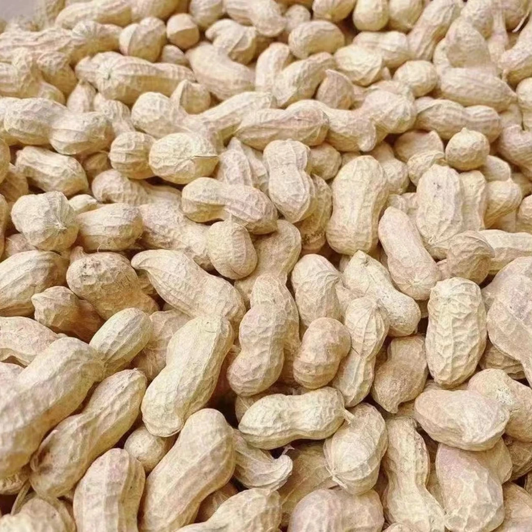 【新干花生】自然晾晒带壳干花生沙地大颗粒花生