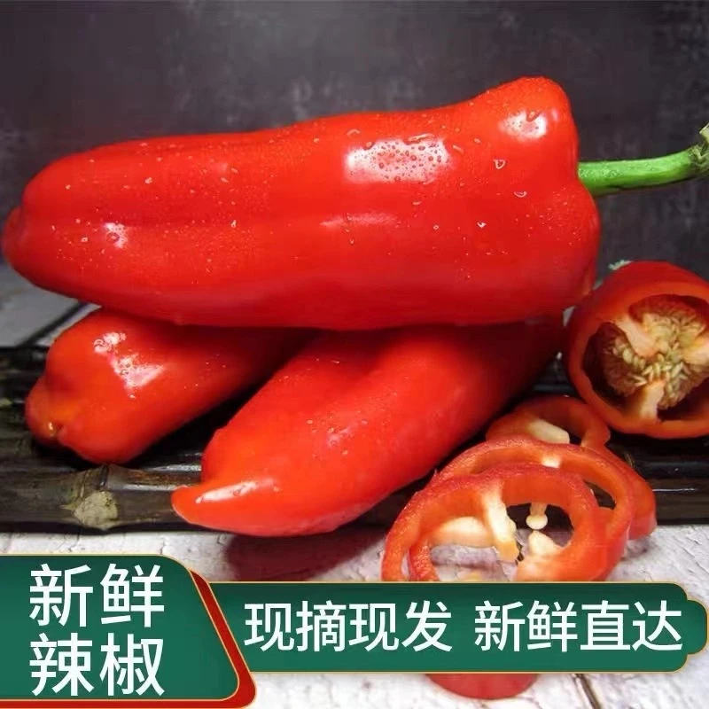 山东农家自种 现摘新鲜 红灯笼椒 红辣椒（3斤/5斤）