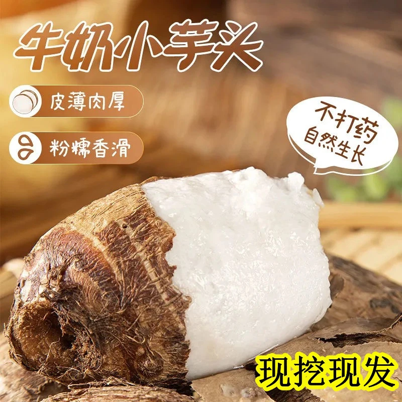 沂蒙山农家新鲜现挖牛奶芋头（3-5斤）细腻香糯精选