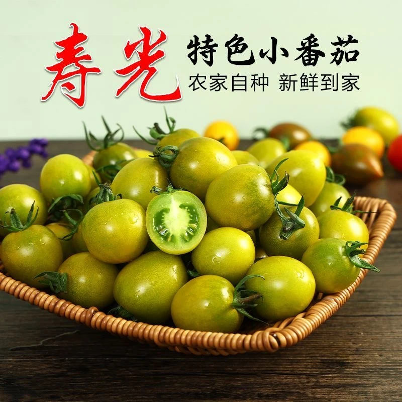 寿光新鲜现摘青甜圣女果小番茄（2-3斤）