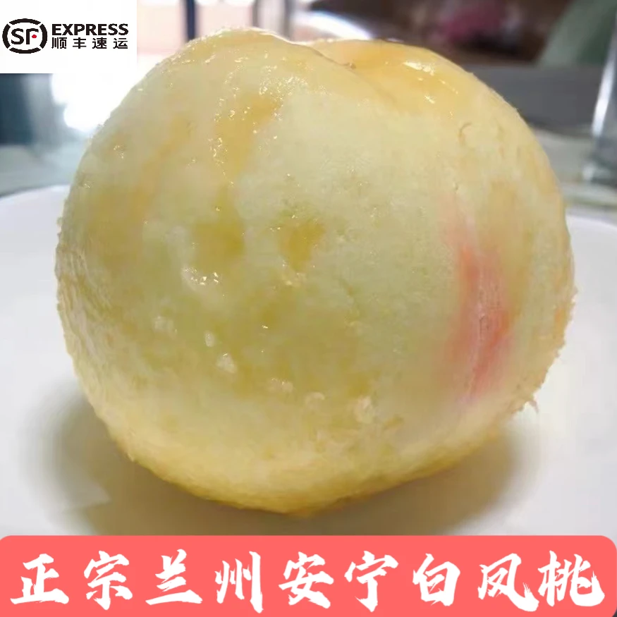 省外｜正宗兰州安宁白凤桃水蜜桃新鲜桃现摘现发顺丰空运冷链包邮