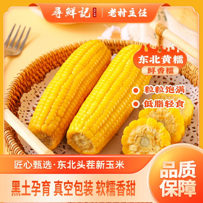 【龙礼】东北五常特产糯9玉米2024头茬玉米
