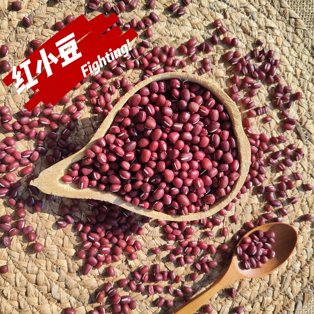 新货东北红小豆五谷杂粮豆子农家自产红小豆豆沙包红豆汤 3斤/5斤