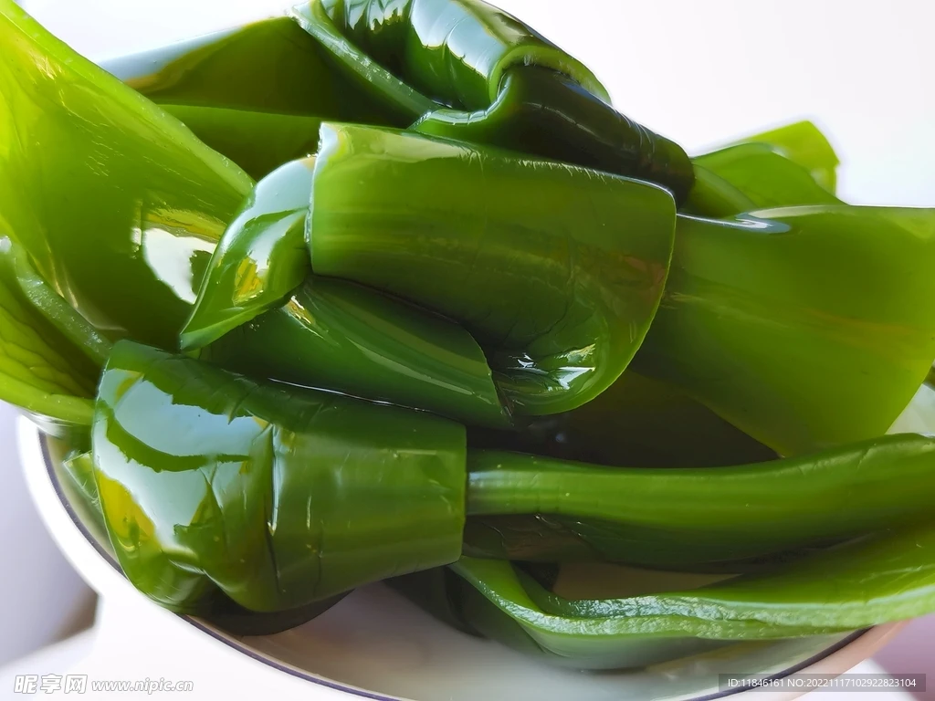 大连特产 新鲜盐制海带扣非干货关东煮新鲜昆布海带扣火锅串串