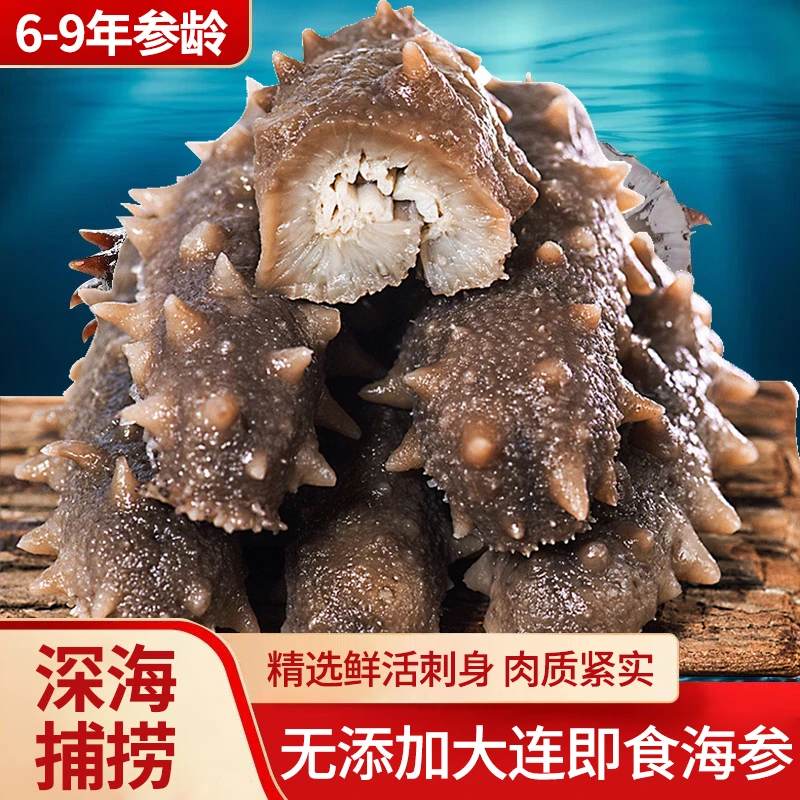 礁藏辽拍一发二正宗大连底播辽刺参即食海参1000g口感Q弹