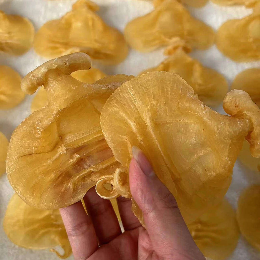 13.5头深海石肚赤嘴公鱼胶赤嘴公鳘鱼胶干货公肚产后术后孕妇月子