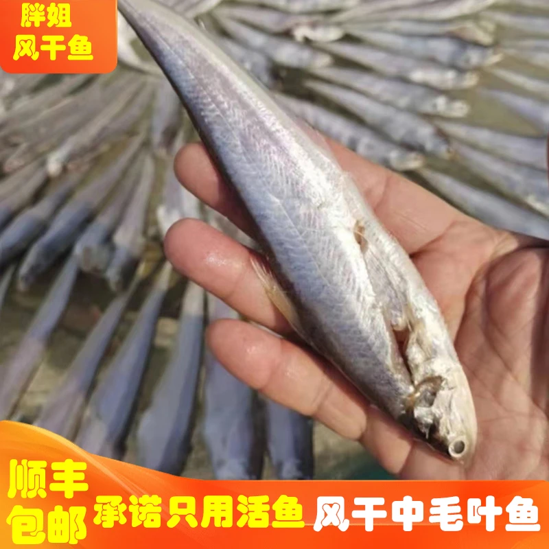 胖姐风干鱼 中毛叶鱼 半干鱼不是全干 顺丰包邮