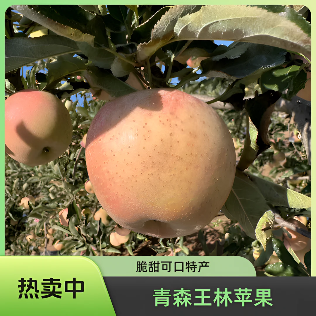 大连正宗王林苹果产地直发新鲜脆甜水果礼盒