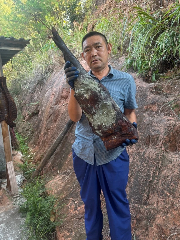 【腊猪蹄】农家柴火烟熏老腊肉四川特产云南贵州湖南湘西腊味