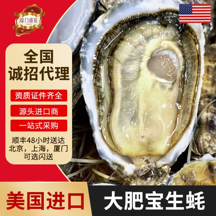 美国进口大肥宝生蚝牡蛎水产活鲜刺身即食酒店餐厅专供生蚝批发