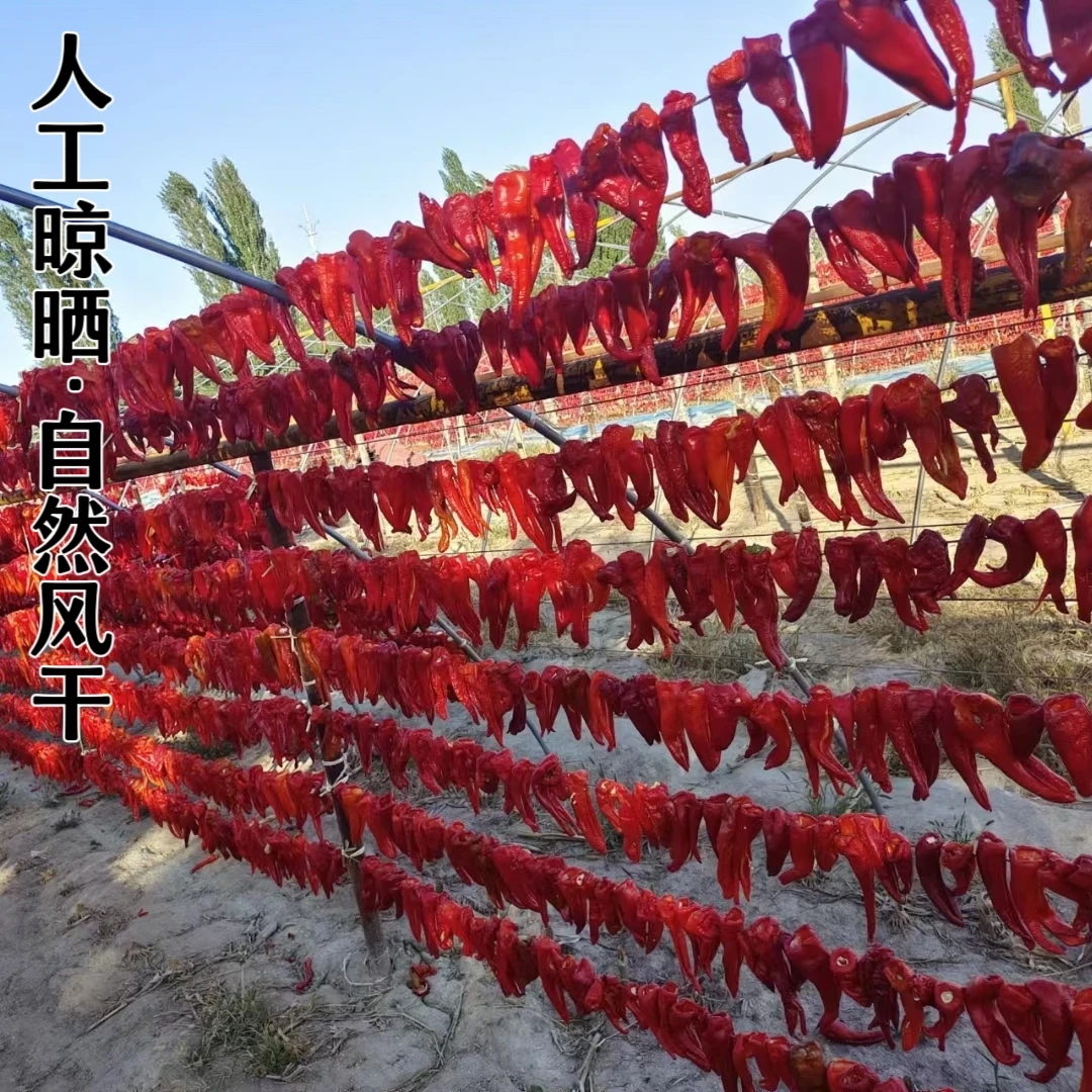 新疆伊犁肉辣皮子微辣香甜500克/袋