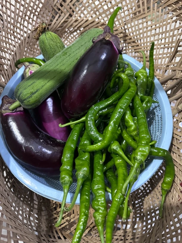 湖南邵阳隆回本地蔬菜茄子丝瓜绿色健康农家菜