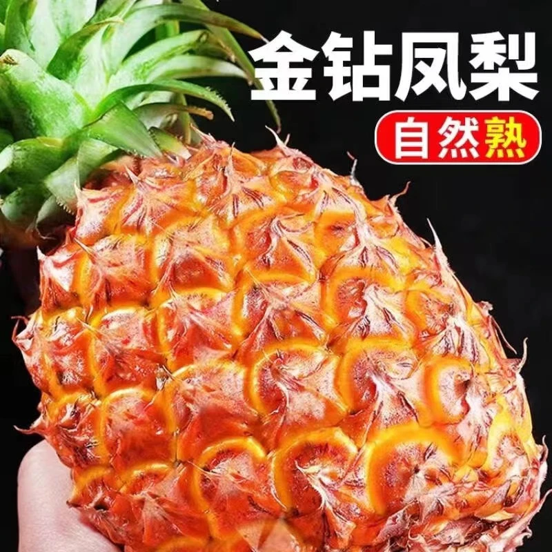正宗海南金钻迷你版小凤梨现采现发产地直发应季水果
