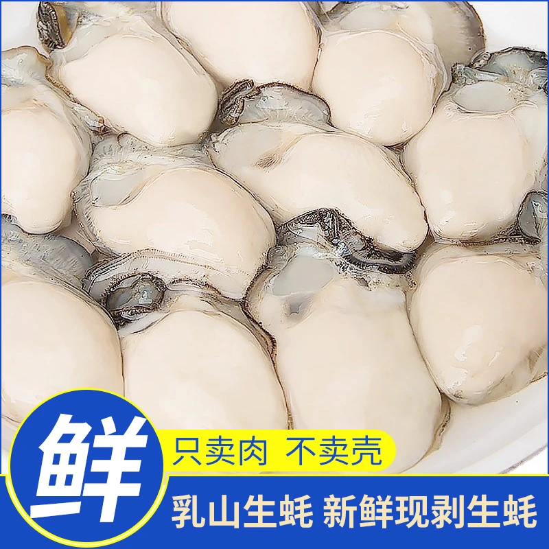 新鲜速冻乳山生蚝肉海蛎子肉牡蛎肉干净去壳保鲜鲜活现剥冷冻