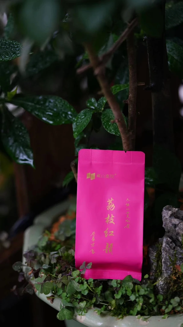 蔡晨啸荔枝红韵（2024年）4g品鉴-白琳工夫红茶（福袋）