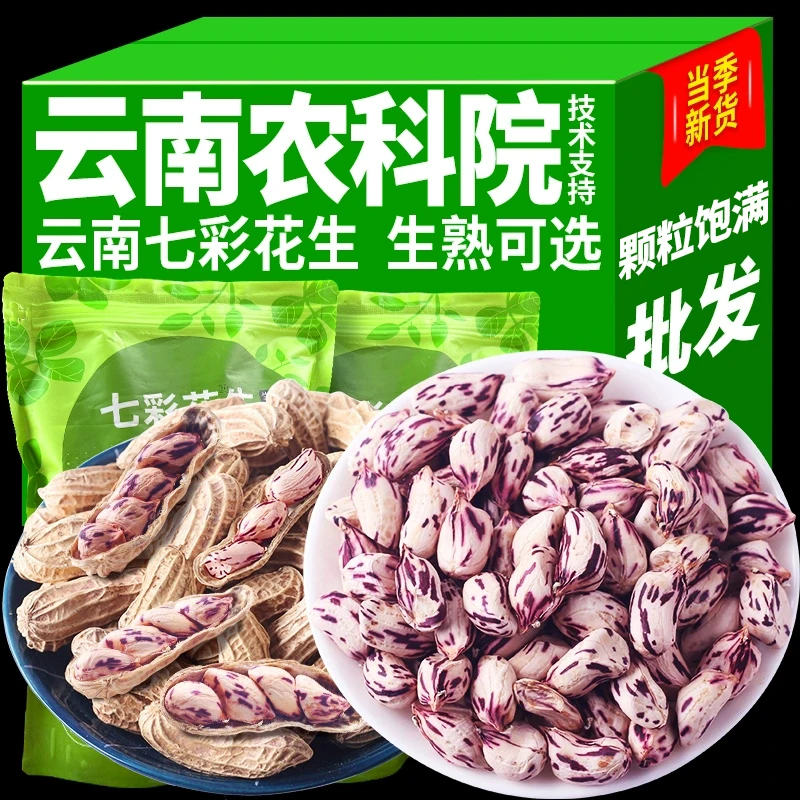 七彩野地花生云南新货甘甜带壳熟花生七彩花生五彩水果花生种子