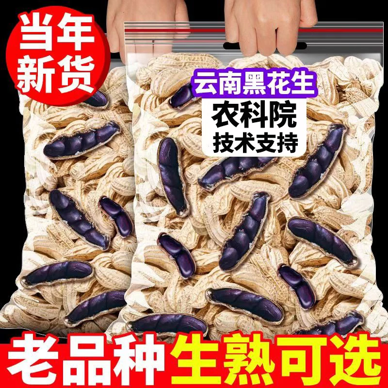 黑花带壳新货生吃正宗云南特产老品种原味炒熟花生晒干黑花生米
