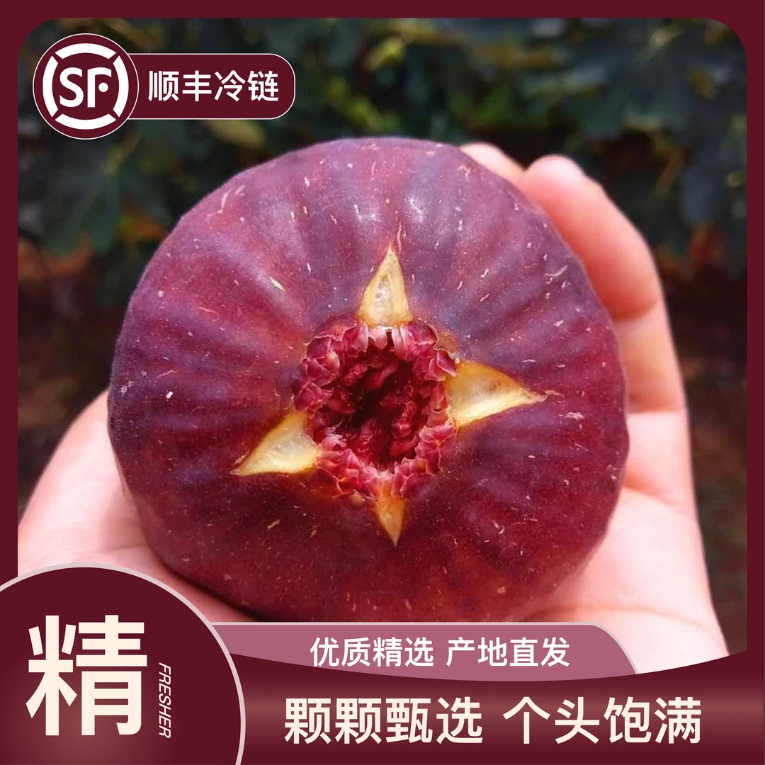 T【甜爆了无花果｜顺丰冷链】四川红皮无花果树熟水果老树无花果鲜果