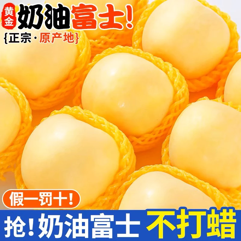 【脆甜】现摘山东烟台奶油富士苹果脆甜奶油苹果新鲜当季水果