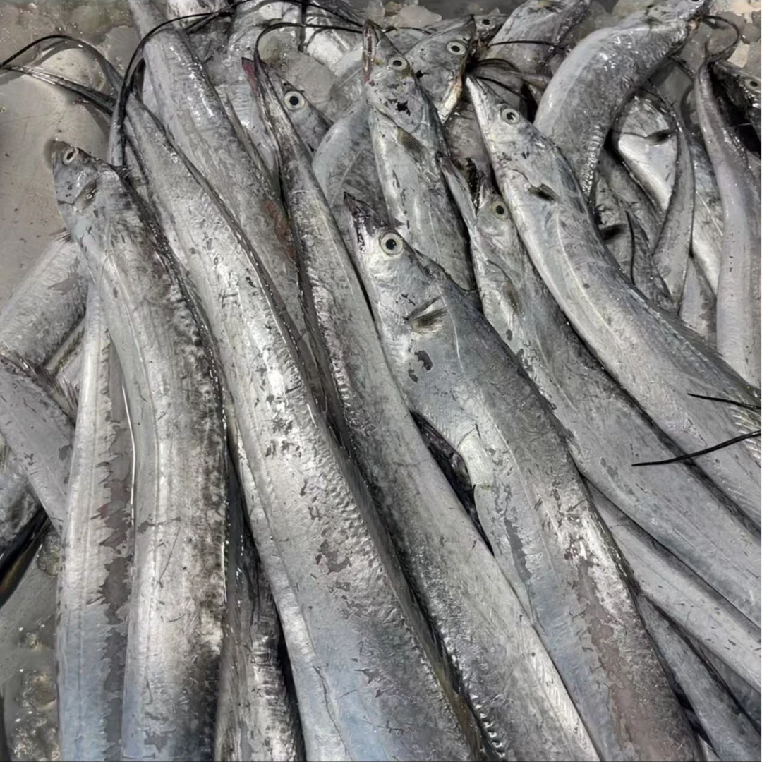 野生  山东冷水小眼带鱼 日照带鱼顺丰发货 4斤11-12条