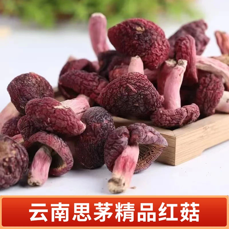 云南思茅正红菇干货蓝底半斤月子菇未开伞红菇干货蓝底标菇正红菇