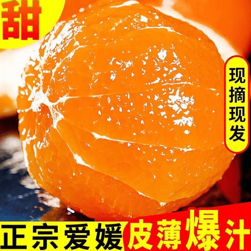 四川爱媛38号果冻橙酸甜多汁无核4.5-5斤中大果发货坏果包赔