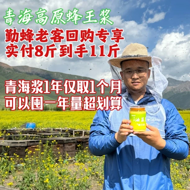 青海高原生产鲜蜂王浆11斤冷链（蜂场追花搬家目前安徽发货）正宗