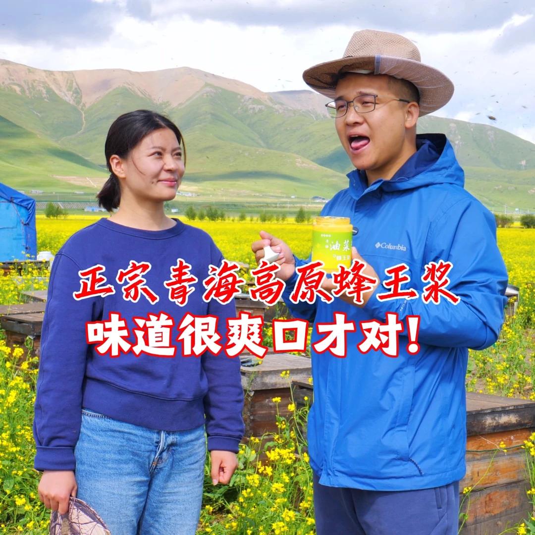 青海高原 原产地鲜蜂王浆现取锁鲜冷链直发