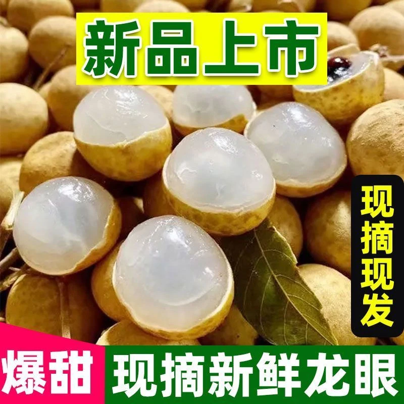 【劉妮妮专属】热带龙眼新鲜水果泰国龙眼当季水果整箱包邮