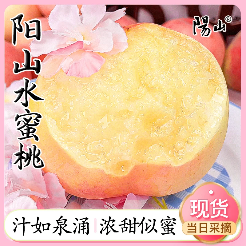 Y(桃霸)无锡阳山水蜜桃新鲜采摘单果6-7两9个装桃子