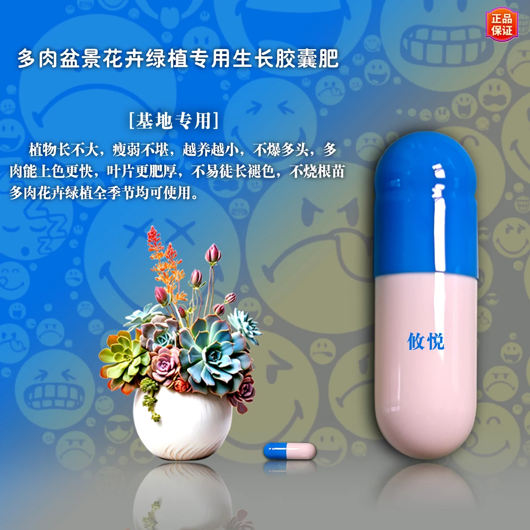 SOXW多肉盆景花卉绿植专用生长胶囊