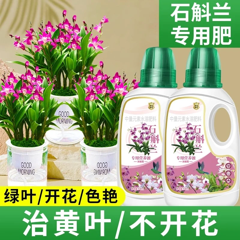 七彩香水石斛兰专用浓缩营养液紫云泼墨粉黛秋石斛专用水溶液体肥