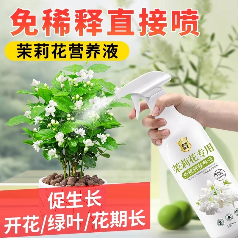 茉莉花专用免稀释营养液叶子发黄专用肥料水培盆栽叶面肥液体肥料